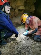 WhatsApp-Image-2021-11-14-at-161334-2