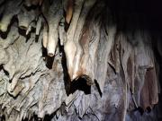 WhatsApp-Image-2021-11-14-at-162047