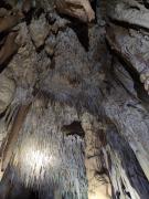 WhatsApp-Image-2021-11-14-at-162048-2