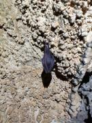 WhatsApp-Image-2021-11-14-at-162050-2