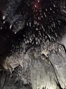 WhatsApp-Image-2021-11-14-at-162050