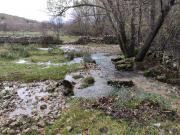 WhatsApp-Image-2021-11-14-at-162121