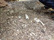 WhatsApp-Image-2021-11-14-at-162155-2