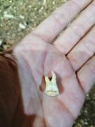 WhatsApp-Image-2021-11-15-at-083435