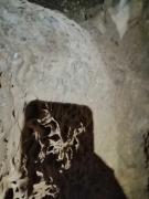 WhatsApp-Image-2021-11-15-at-083436