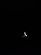 WhatsApp-Image-2021-11-15-at-083437-2