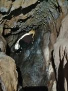 WhatsApp-Image-2021-11-15-at-083437