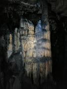 WhatsApp-Image-2021-11-15-at-083438