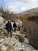 WhatsApp-Image-2021-11-15-at-083439-1