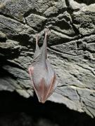 WhatsApp-Image-2021-11-15-at-083439-2