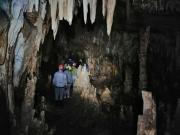 WhatsApp-Image-2021-11-15-at-083443-2