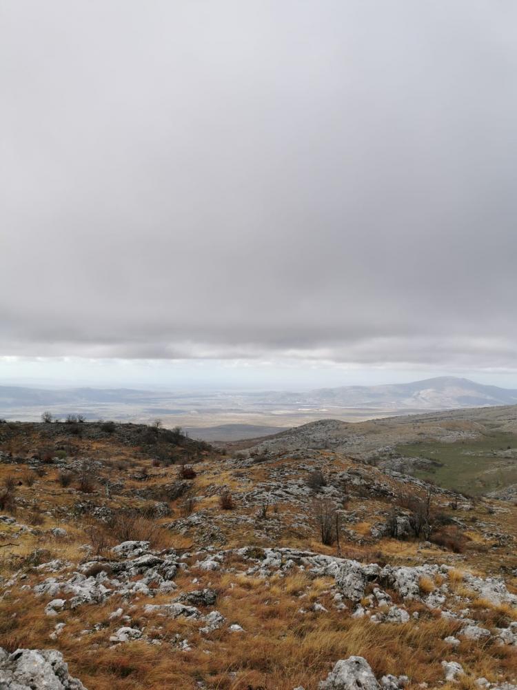 WhatsApp-Image-2021-11-27-at-171336-4