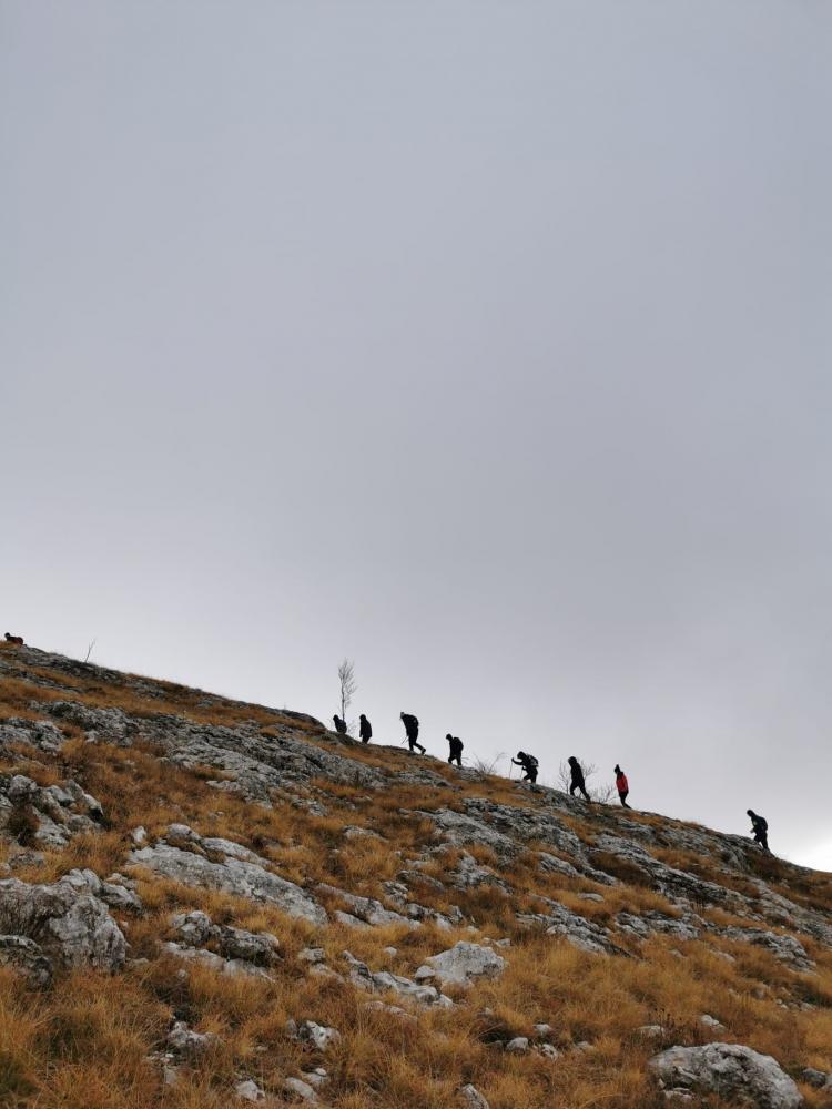 WhatsApp-Image-2021-11-27-at-171336