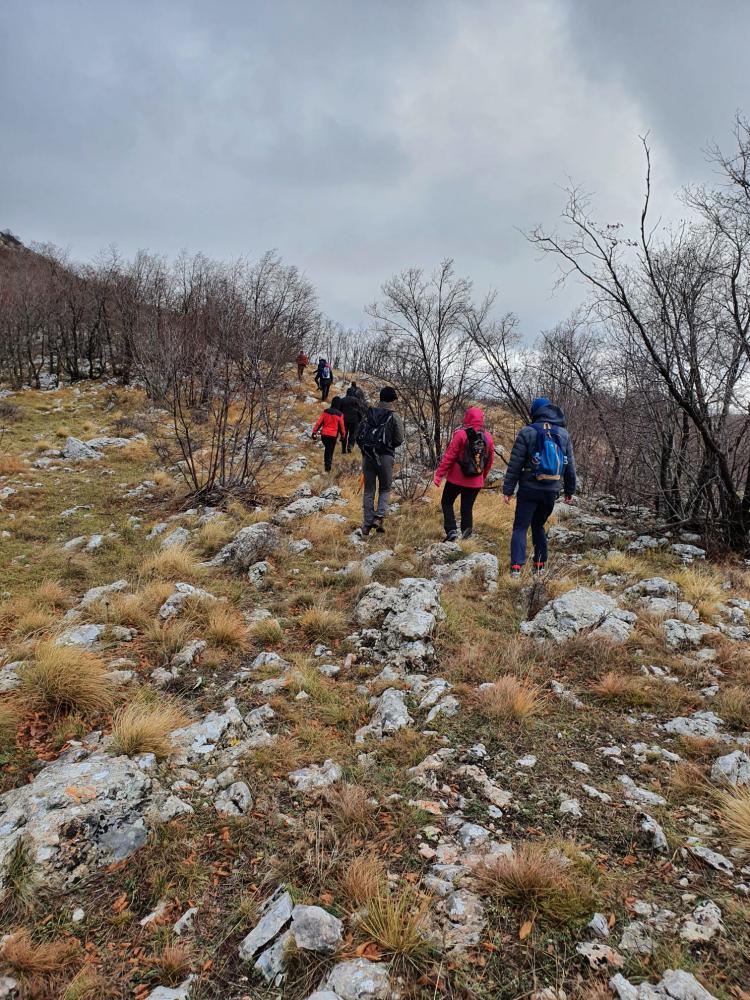 WhatsApp-Image-2021-11-27-at-171910-2