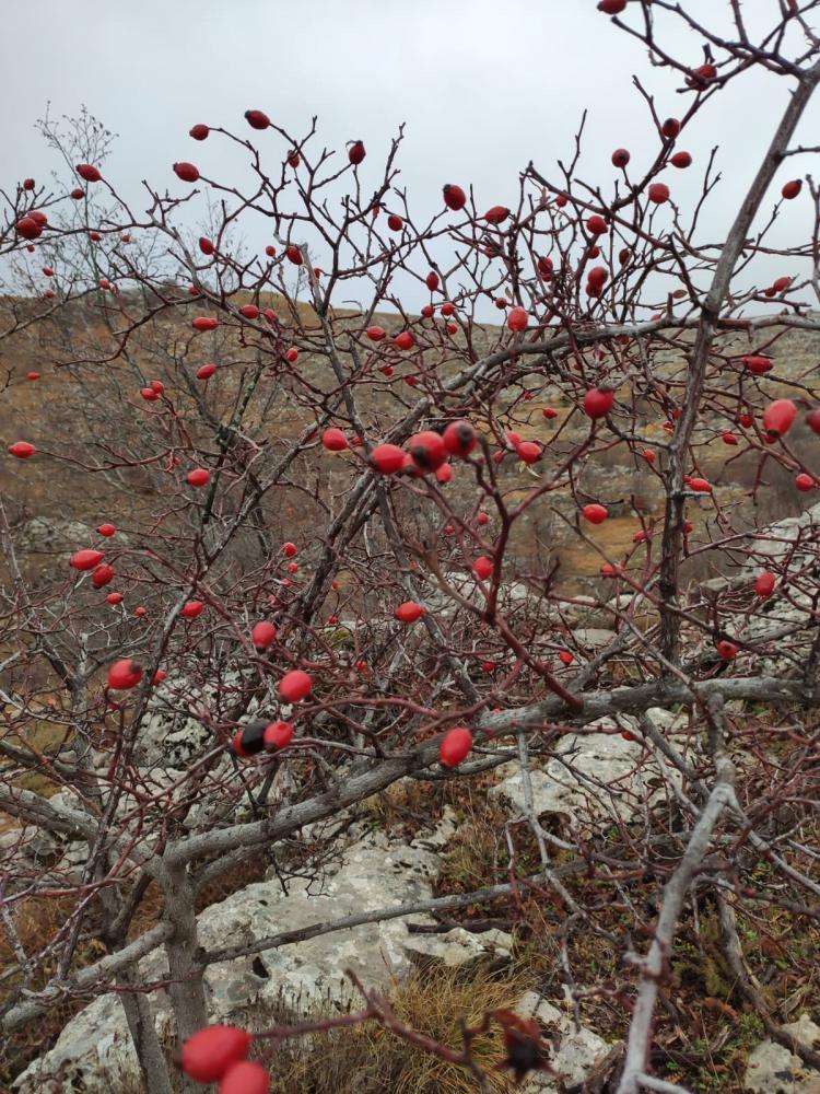 WhatsApp-Image-2021-11-27-at-172445-3