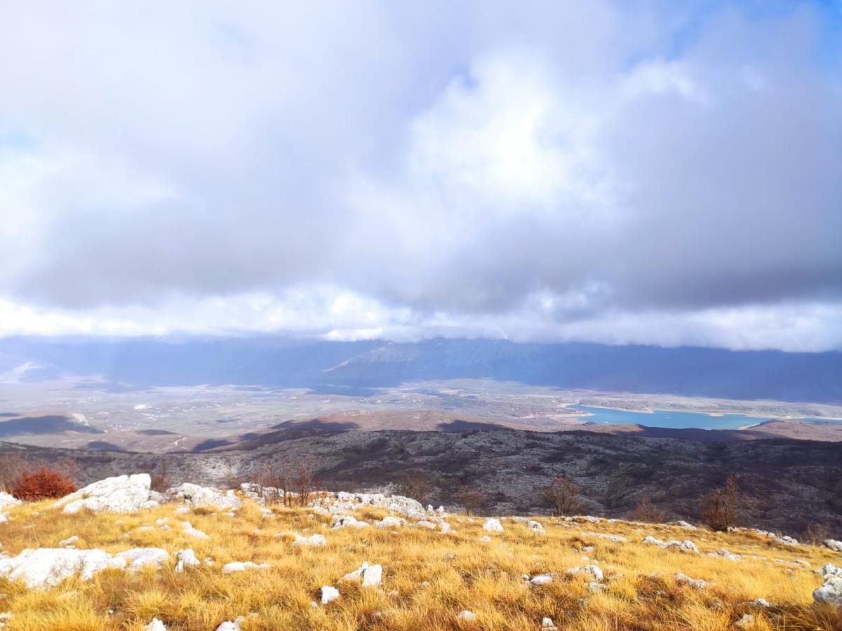 WhatsApp-Image-2021-11-27-at-172446-1