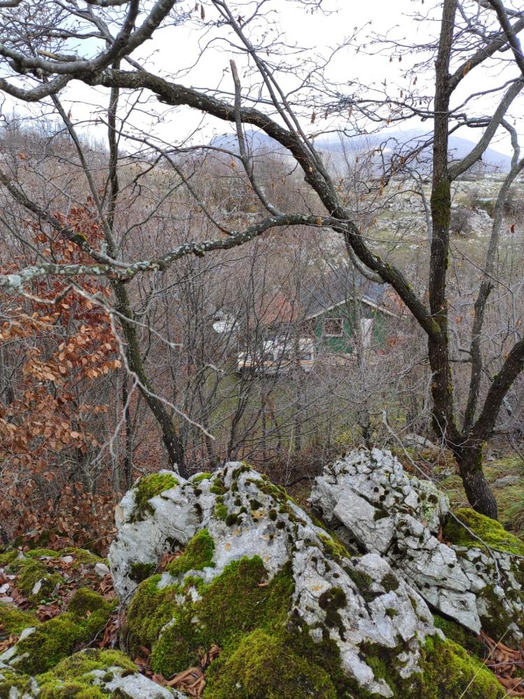 WhatsApp-Image-2021-11-27-at-172447-2