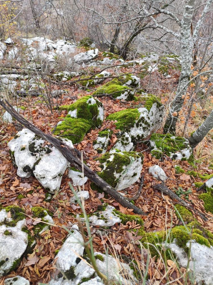 WhatsApp-Image-2021-11-27-at-172447-4