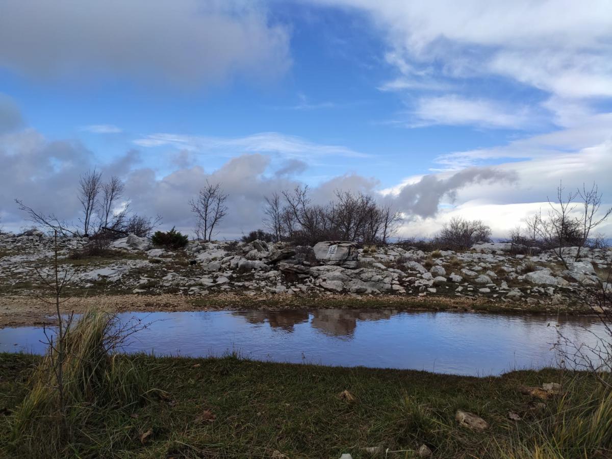 WhatsApp-Image-2021-11-27-at-172448-3