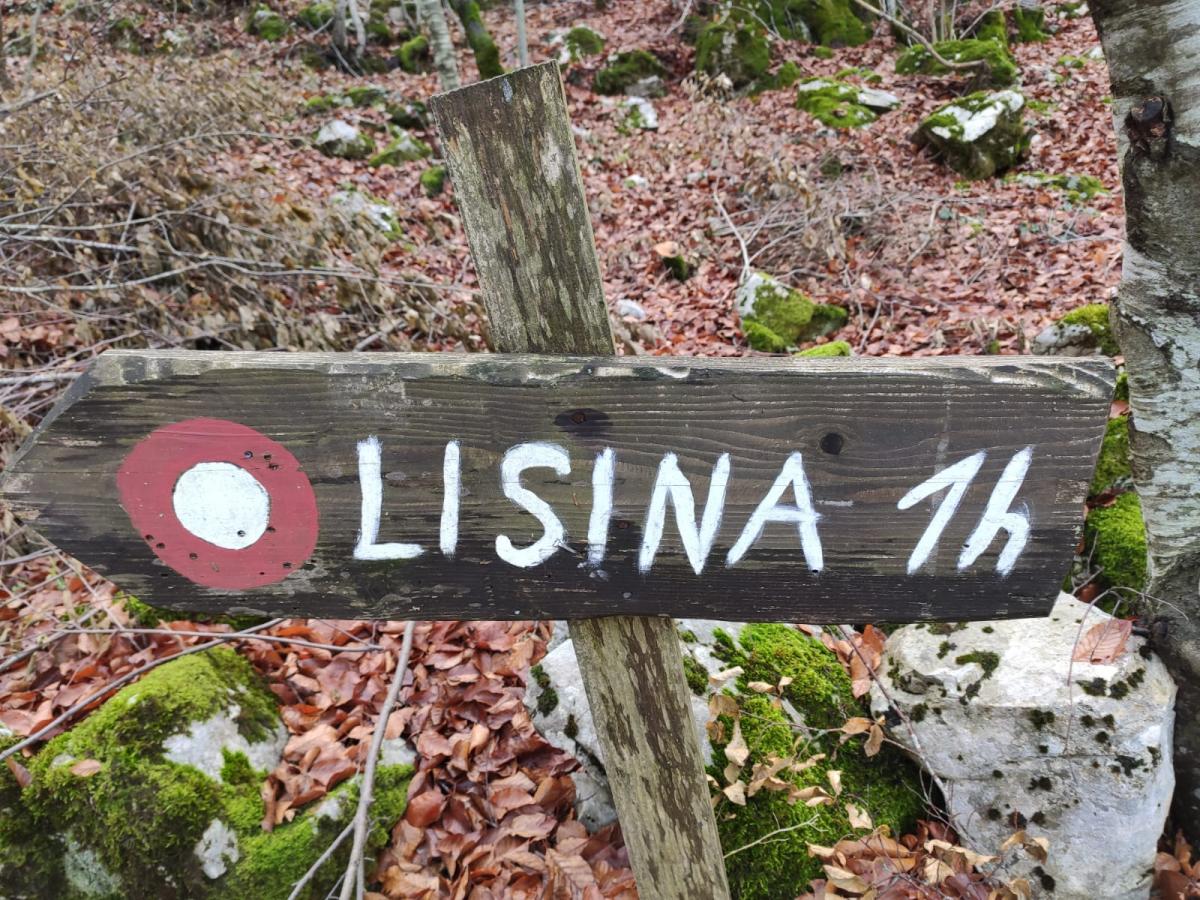 WhatsApp-Image-2021-11-27-at-172448