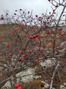 WhatsApp-Image-2021-11-27-at-172445-3