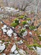 WhatsApp-Image-2021-11-27-at-172447-4