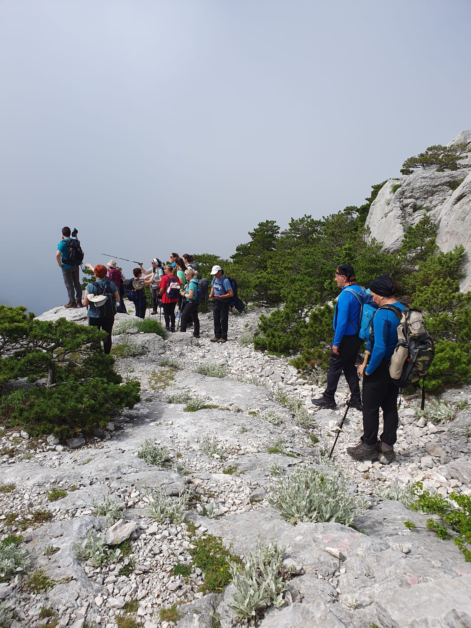 IMG-20230609-WA0016