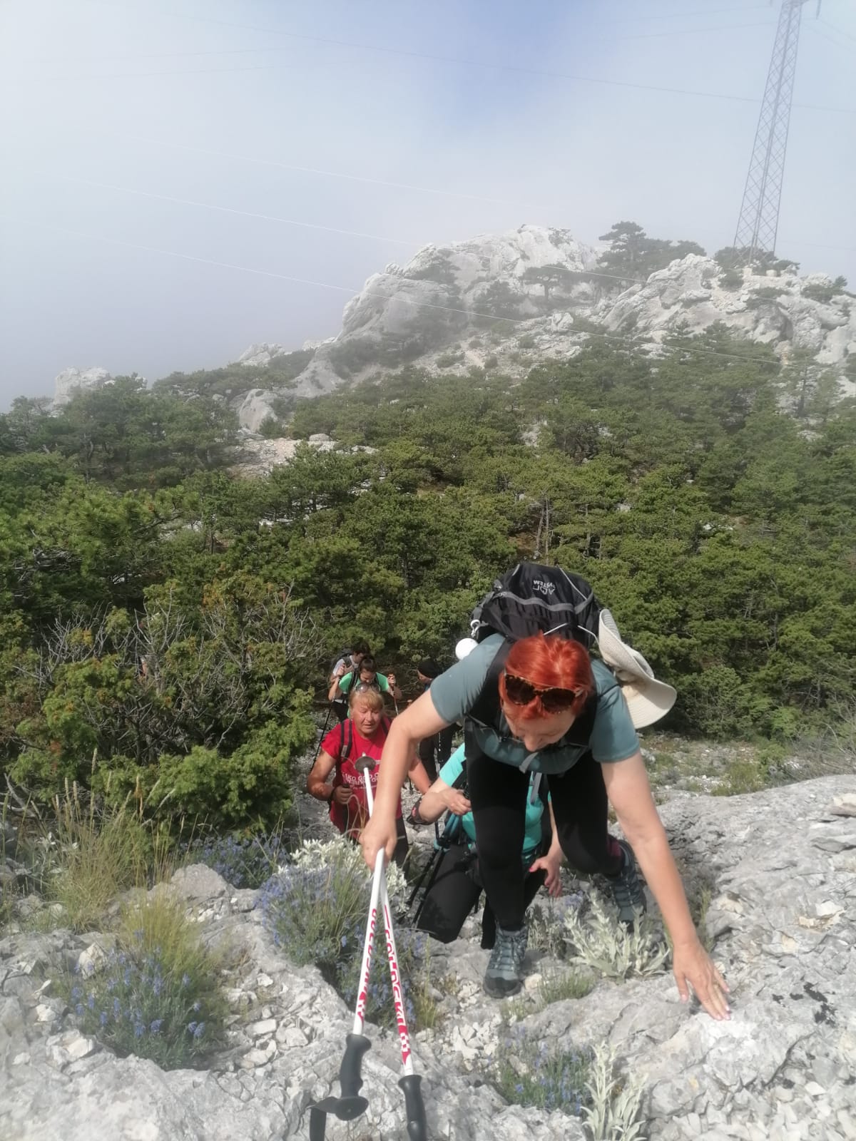 IMG-20230609-WA0131