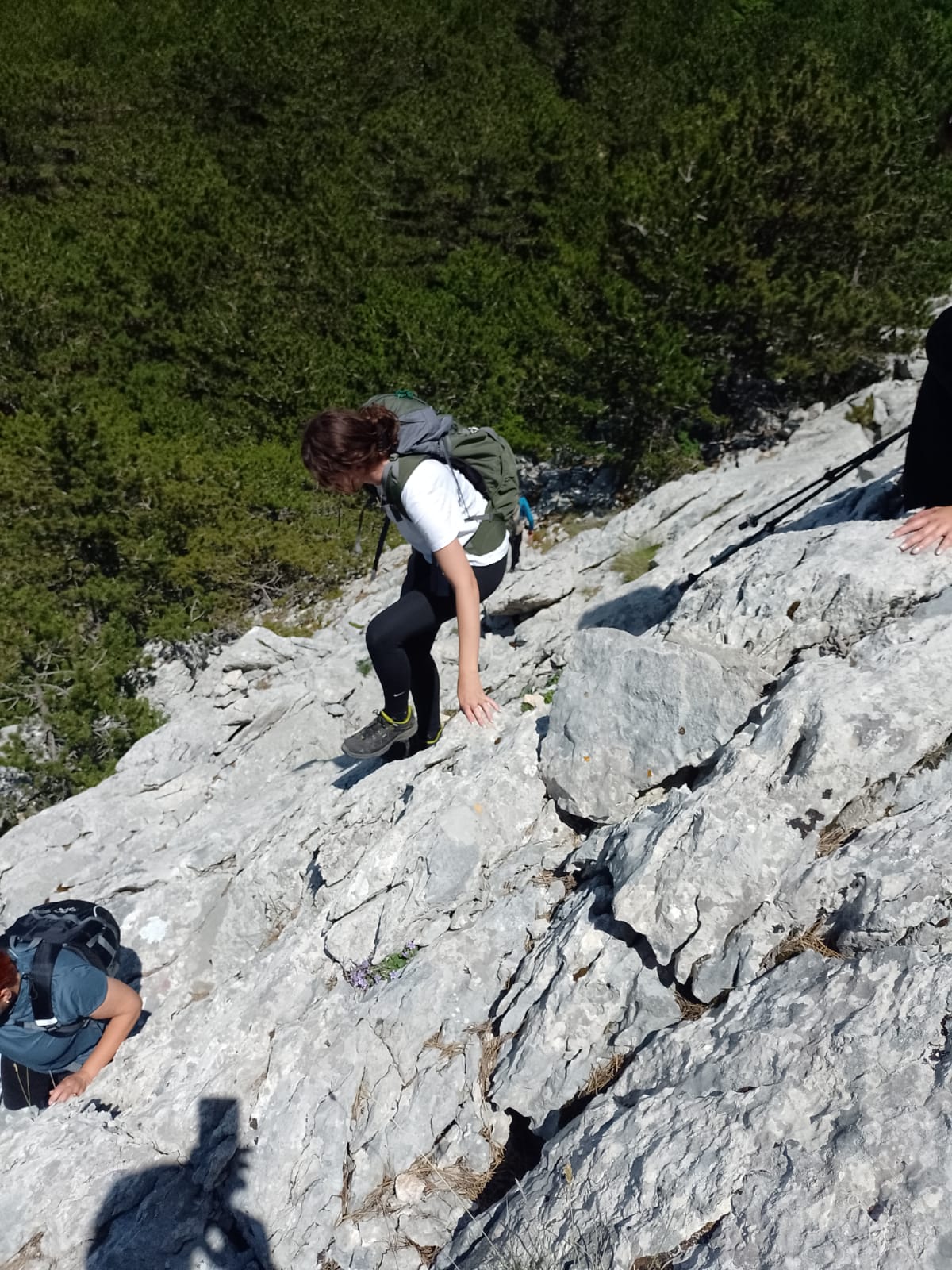 IMG-20230609-WA0213