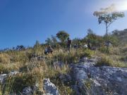 IMG-20231014-WA0053