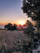 IMG-20231014-WA0143