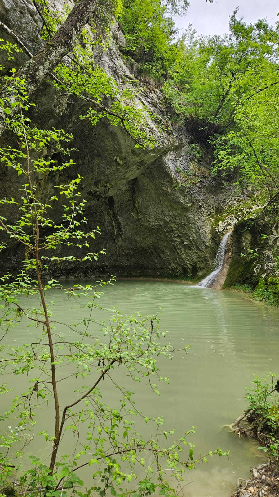 IMG-20240504-WA0147
