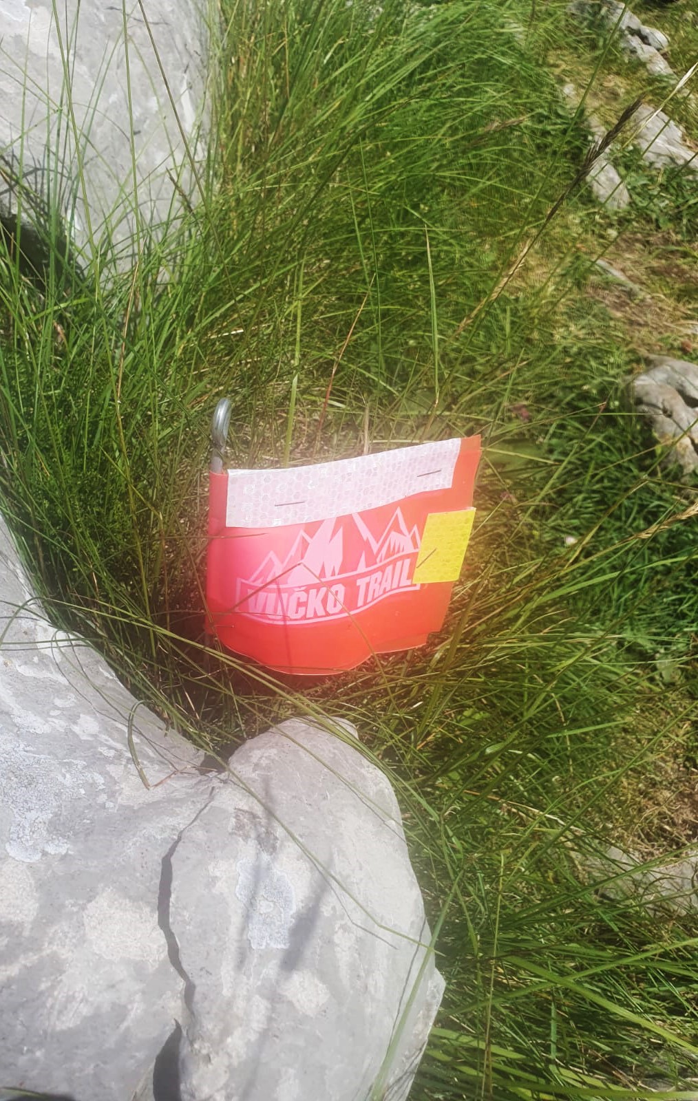 IMG-20240623-WA0125