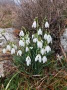 WhatsApp-Slika-2025-02-25-u-192855b8d89198