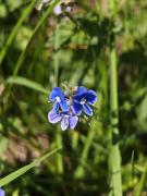 IMG-20250616-WA0117