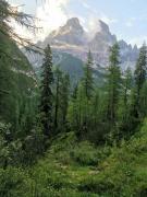 524658525241248807605014515723806082941929378n