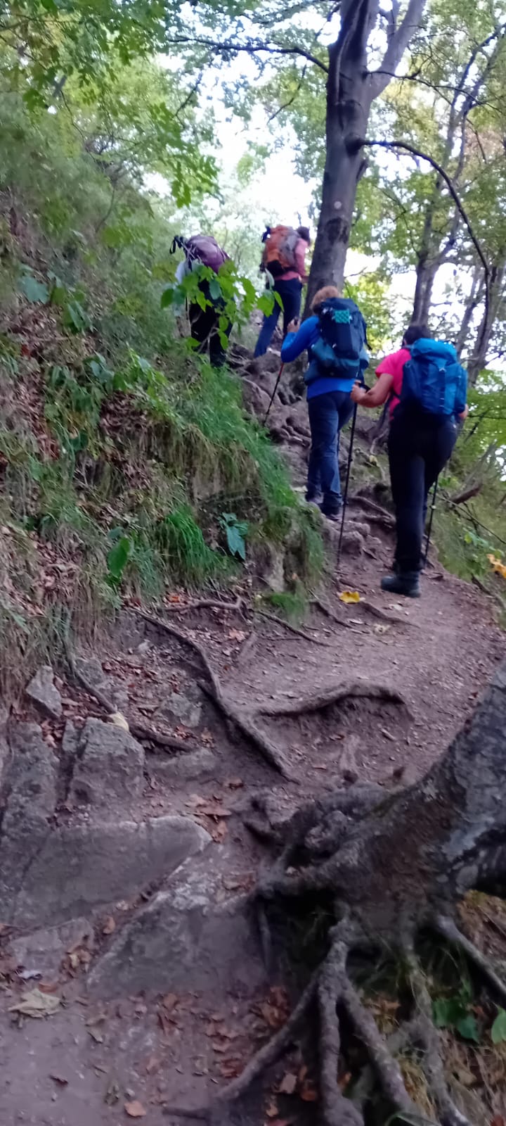 IMG-20250823-WA0079