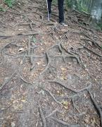 IMG20250823084956edit85927845078554