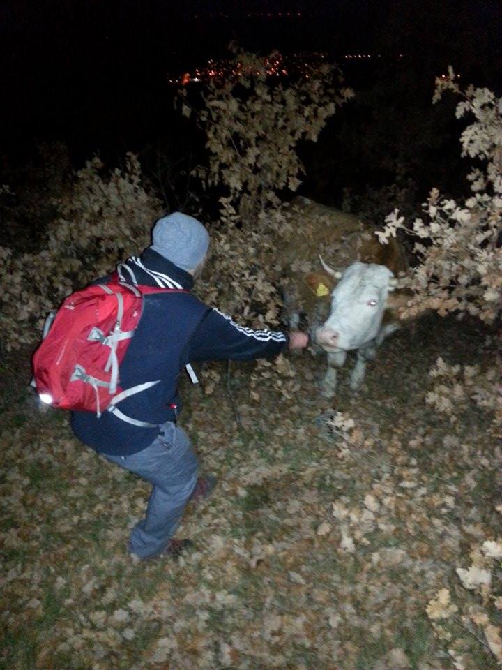 obavijest ciscenje i markiranje staza2