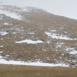 Uspon na Lišanjski vrh (1794 m)