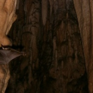 OPŠ2015_DNEVNIK PLANINARA POČETNIKA - ŠESTI ZAPIS