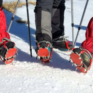 Ni na nebu ni na zemlji, tren u Hrvatskoj - tren u BiH