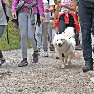 II. izlet male planinarske škole - Paklenica