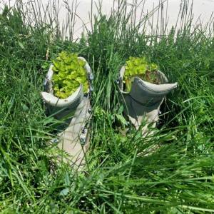 Dinarska avantura - 15.6.2024.g