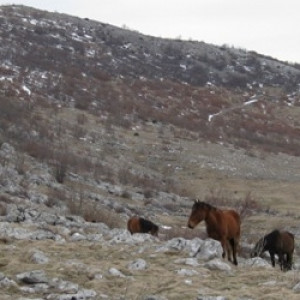 Uspon na Sveto Brdo 1751m